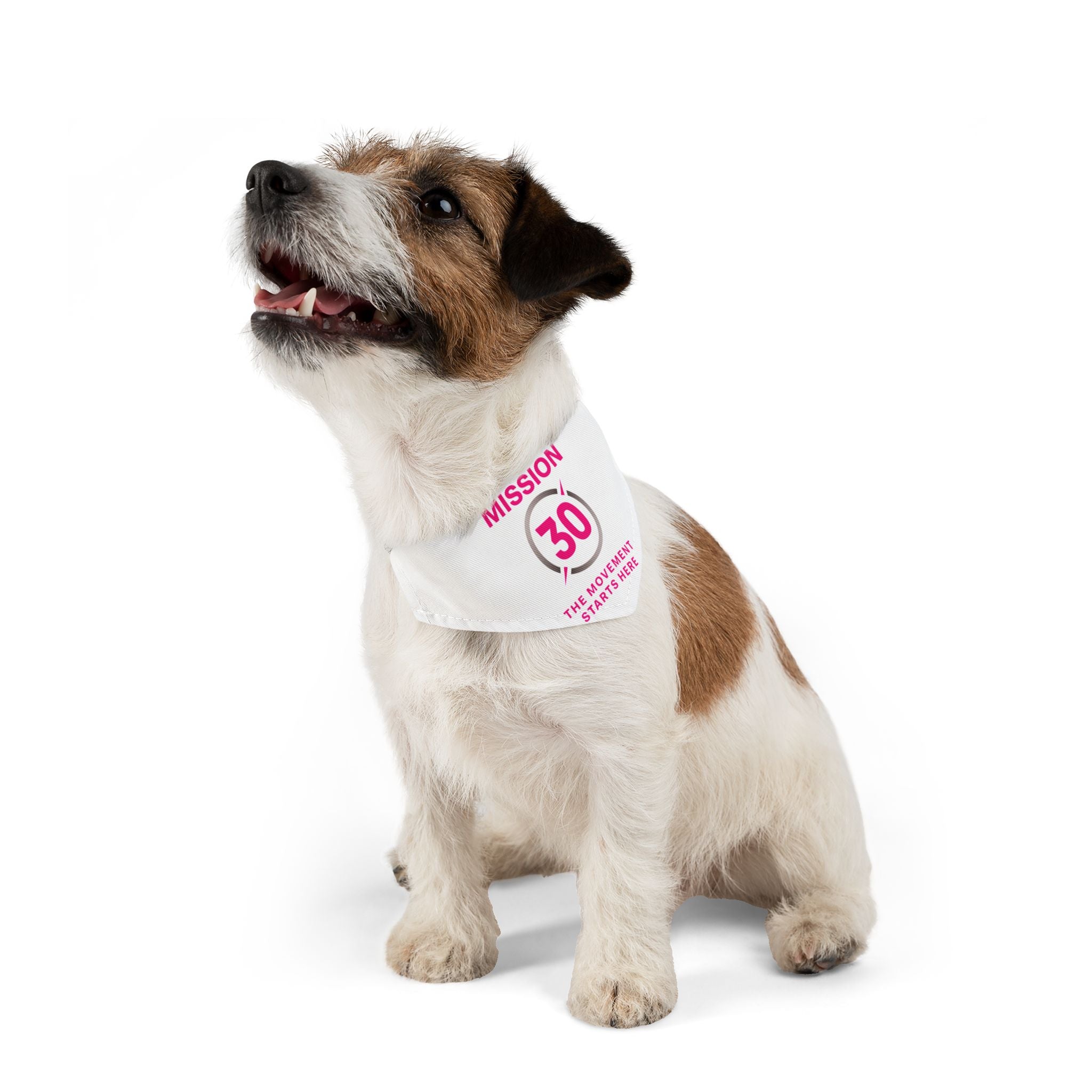 Mission 30 Pet Bandana Collar - Fun Accessory for Active Dogs