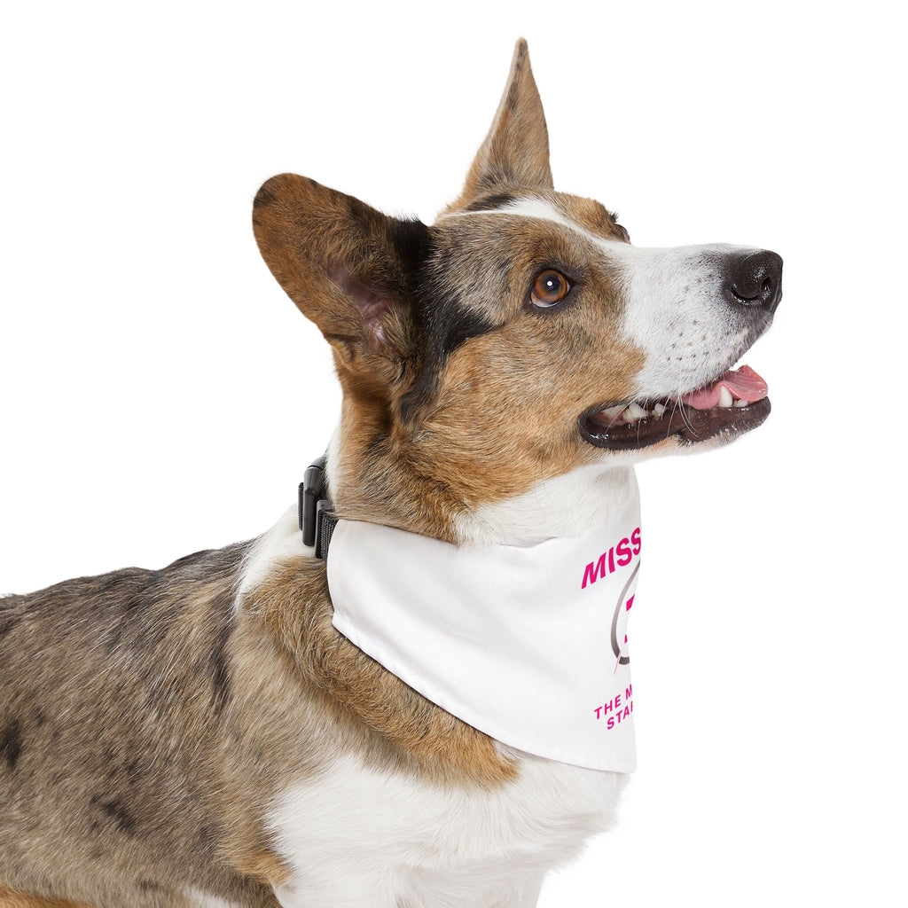 Mission 30 Pet Bandana Collar - Fun Accessory for Active Dogs