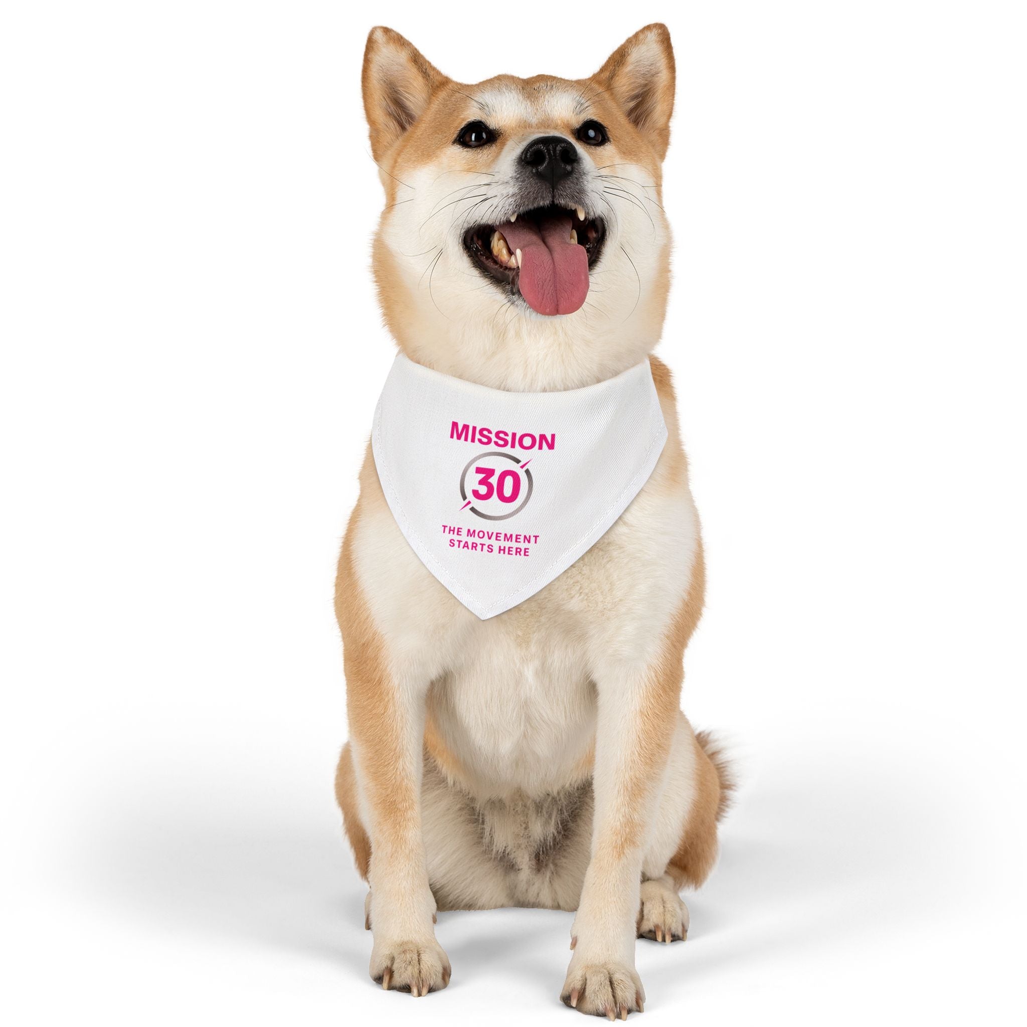 Mission 30 Pet Bandana Collar - Fun Accessory for Active Dogs
